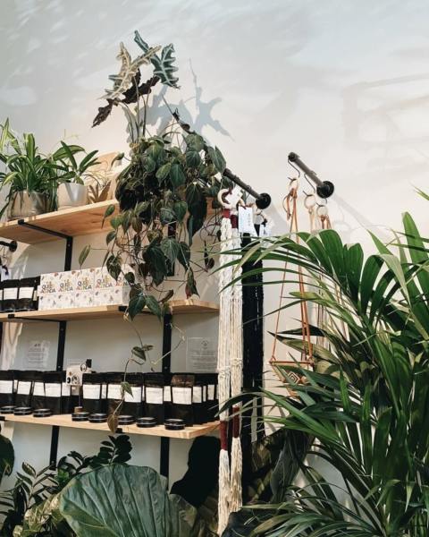 Some shop shelves holding various products and surrounded by plants.
